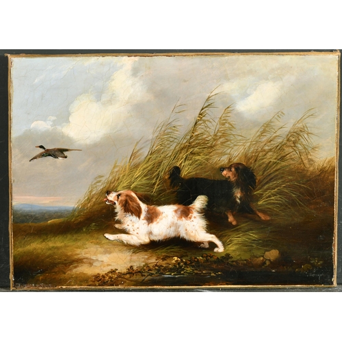 166 - George Armfield (1808-1893) British. Terriers Chasing a Rabbit, Oil on Canvas, Unframed, 10