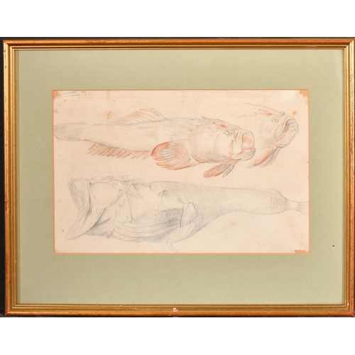 40 - 18th Century French School. Study of Three Fish, Pencil and red chalk, Inscribed on label verso, 7.5... 