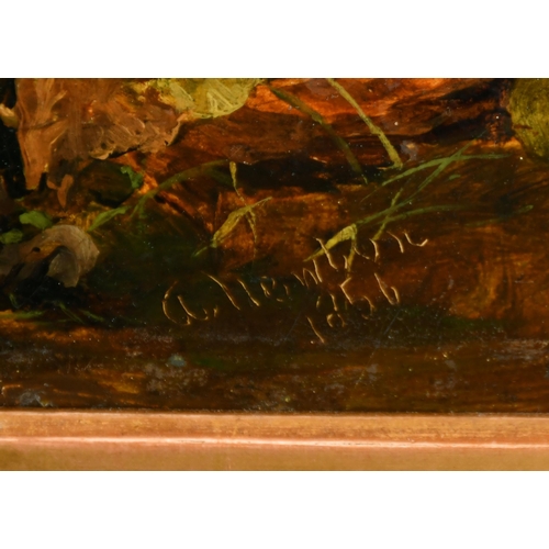 135 - Alfred Pizzey Newton (1830-1883) British. A Pre-Raphaelite Study of Undergrowth, Oil on board, Signe... 