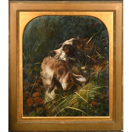 153 - Circle of Thomas Earl (fl.1836-1885) British. A Spaniel with a Rabbit in the Undergrowth, Oil on can... 