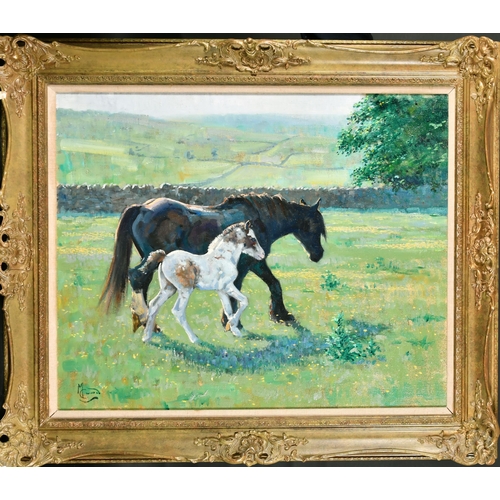 157 - Malcolm Coward (1948-    ) British. A Mare and Foal, Oil on canvas, Signed, 24