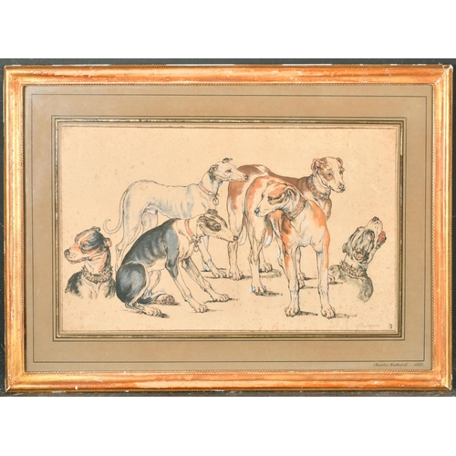 17 - Charles Ruthard (17th Century) European. A Study of Dogs, Ink and Chalk, Signed in pencil, with a co... 