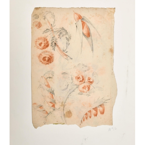 18 - Late 18th Century French School. Still Life of Flowers, Sanguine and pencil, Unframed 10