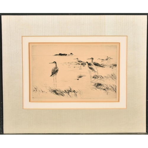 255 - Frank Weston Benson (1862-1951) American. Wading Birds, Etching, Signed and numbered 45 in pencil, M... 