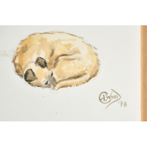 267 - E L Wood (20th Century) British. Terrier Studies, Watercolour and pencil, Signed and dated '78, 9