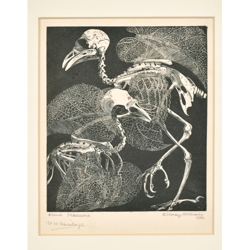 347 - Barbara Moray Williams (1911-1977) British/Icelandic. 