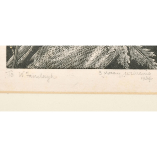 347 - Barbara Moray Williams (1911-1977) British/Icelandic. 