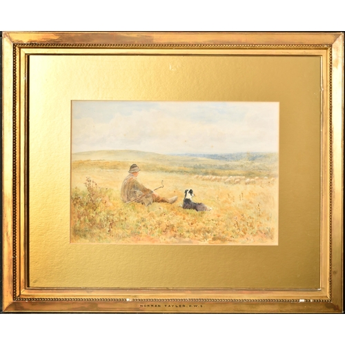 77 - Norman Tayler (1843-1915) British. A Shepherd and His Dog watching the Flock, Watercolour, Signed an... 