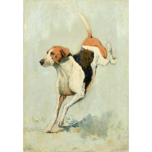 102 - George Paice (1854-1925) British. Study of a Hound, Oil on canvas, 10