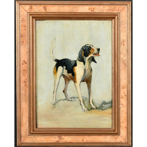 102 - George Paice (1854-1925) British. Study of a Hound, Oil on canvas, 10