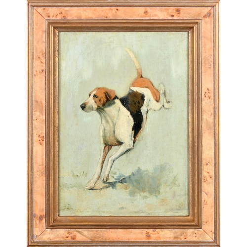 102 - George Paice (1854-1925) British. Study of a Hound, Oil on canvas, 10