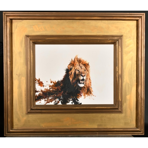 106 - Dharbinder Singh Bamrah (1965-2007) British. A Lion's Head, Oil on canvas, Signed, 14