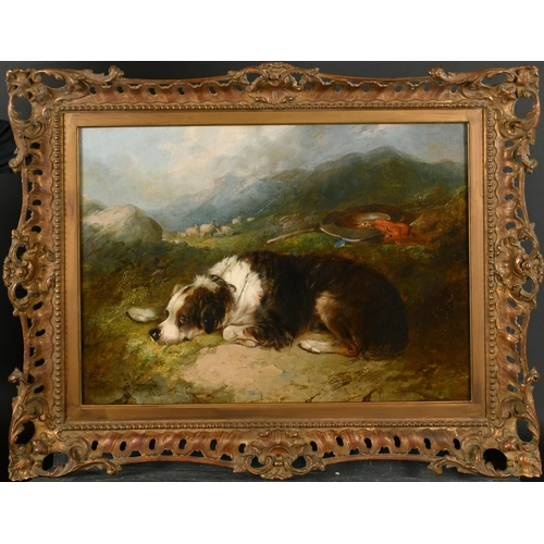 113 - George Armfield (1808-1893) British. A Spaniel at Rest, Oil on canvas, Signed and dated 1869, 18