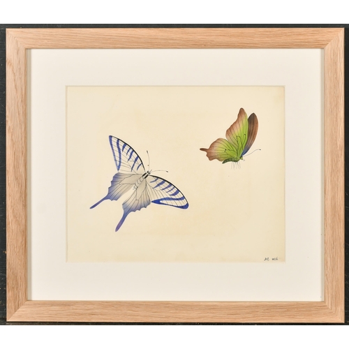 44 - 19th Century English School. A Study of Butterflies, Watercolour, Signed with initials MG and dated ... 