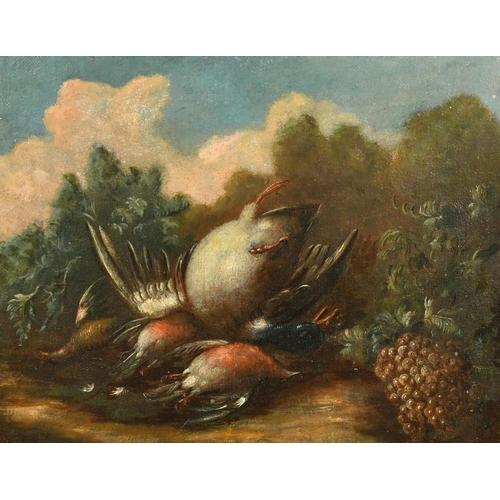 20 - 18th Century Italian School, Still Life with Dead Birds, Oil on canvas, 14.25