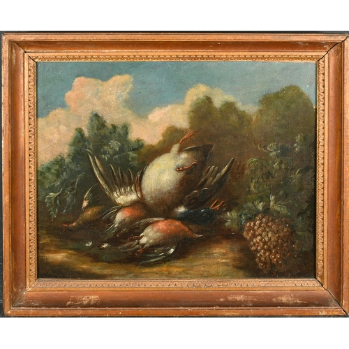 20 - 18th Century Italian School, Still Life with Dead Birds, Oil on canvas, 14.25