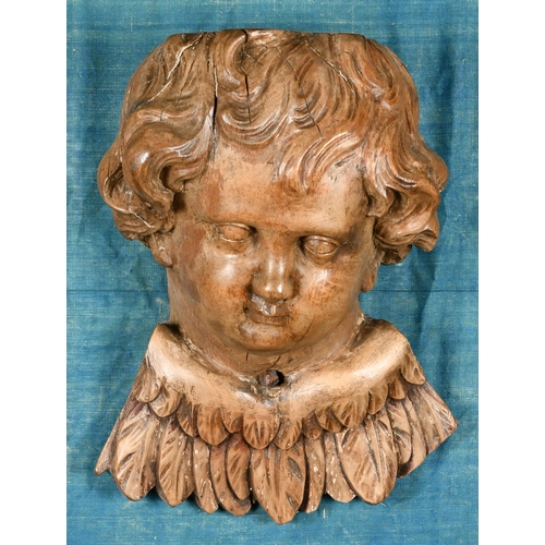 36 - 19th Century European School. A Winged Putto, Carved walnut on a blue silk backing within a carved f... 