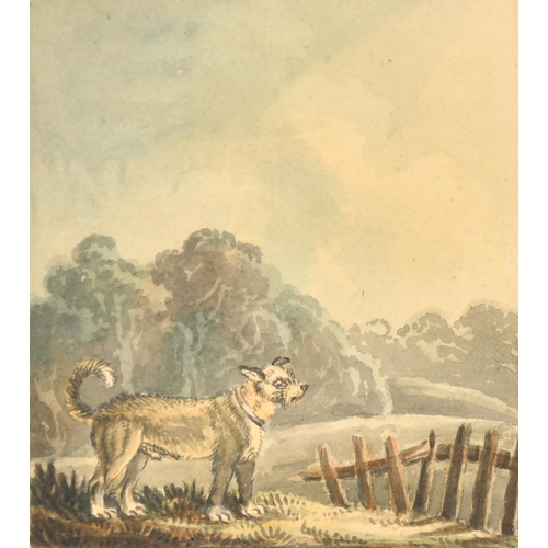 50 - Samuel Howitt (1756-1822) British. 'Dog in a Landscape, Watercolour, Inscribed on a label verso, 3.5... 