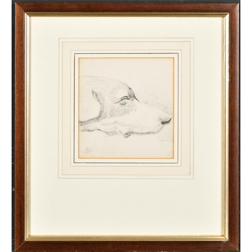 66 - Attributed to Henry Alken (1774-1850) British. 'Head of a Hound', Pencil, Inscribed on a label verso... 