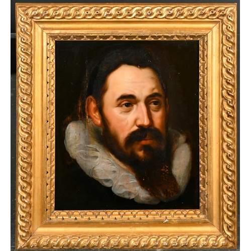 70 - Manner of Frans Pourbus (1569-1622) Flemish. Head of a Bearded Man, Oil on panel, In a carved giltwo... 