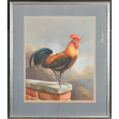 270 - Raymond Watson (1935-1994) British. A Large Cockerel, Gouache, Signed, 17.5