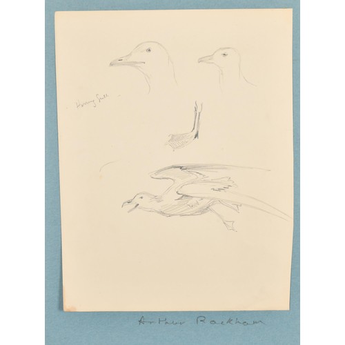 93 - An Album of Drawings containing works by R G Meyerheim (4), E H Shepard (3), F R Pickersgill (1), A ... 