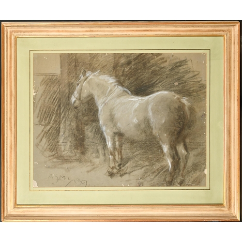 151 - Alfred James Munnings (1878-1959) British. 'Augereau', Chalk, Signed with initials and dated 1907, 1... 