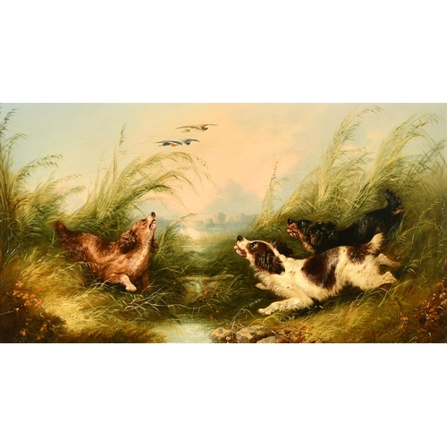 154 - George Armfield (1808-1893) British. Spaniels Flushing Duck, Oil on canvas, Signed and dated 1867, 1... 