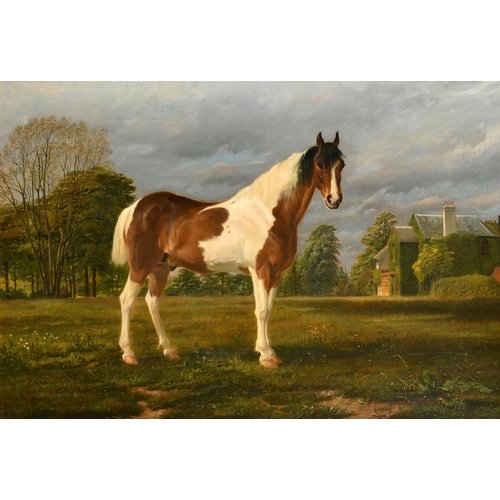 155 - Thomas George Cooper (1836-1901) British. A Piebald in a Field, Oil on canvas, Signed and dated 1870... 