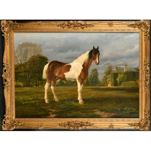 155 - Thomas George Cooper (1836-1901) British. A Piebald in a Field, Oil on canvas, Signed and dated 1870... 