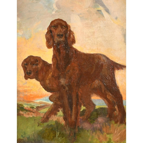 169 - Westralia Hall (20th-21st Century) British. Study of Two Irish Setters, Oil on canvas, Signed, 17