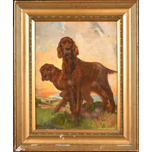 169 - Westralia Hall (20th-21st Century) British. Study of Two Irish Setters, Oil on canvas, Signed, 17