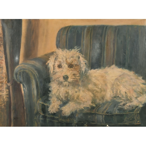 170 - Edith Langtry (20th Century) British. A Terrier on a Sofa, Oil on canvas, Signed, 20