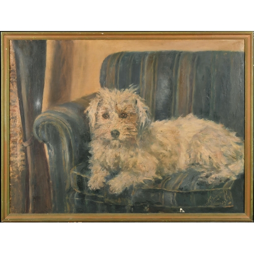 170 - Edith Langtry (20th Century) British. A Terrier on a Sofa, Oil on canvas, Signed, 20