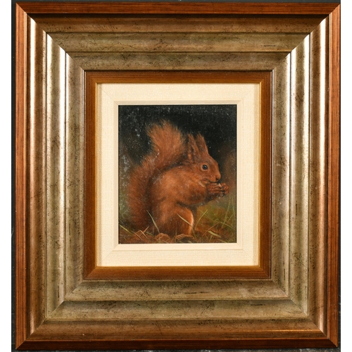 120 - Carl Andrew Whitfield (1958-    ) British. A Red Squirrel Holding a Nut, Oil on panel, Signed, 6