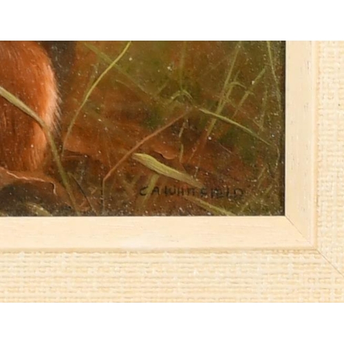 120 - Carl Andrew Whitfield (1958-    ) British. A Red Squirrel Holding a Nut, Oil on panel, Signed, 6