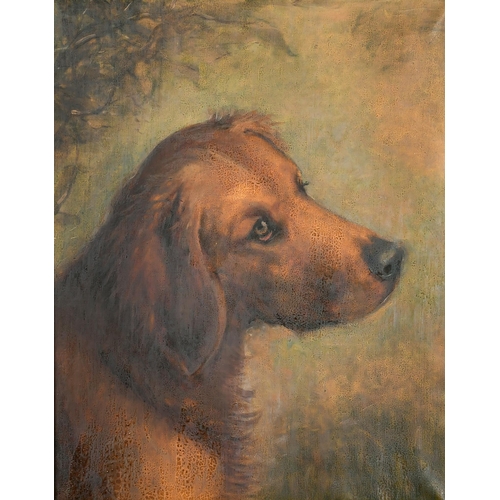 125 - 19th Century English School. A Head Study of a Dog, Oil on Canvas, in a Watts Gilt Composition Frame... 