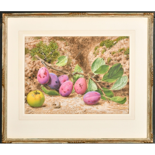 71 - John Sherrin (1819-1896) British. Still Life of Plums and an Apple, Watercolour, Signed, 12