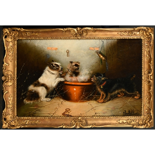 146 - Edward Armfield (1817-1896) British. Terriers around a Bowl, Oil on canvas, Signed, 20