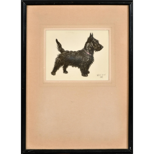 150 - Cecil Aldin (1870-1935) British. A Scottie, Watercolour and ink on Ivorine, Signed in pencil, 3.75