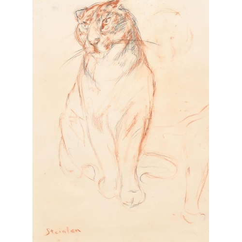 222 - Steinlen (19th-20th Century) European. Study of a Tiger, Pencil and Chalk, Signed, Mounted, unframed... 