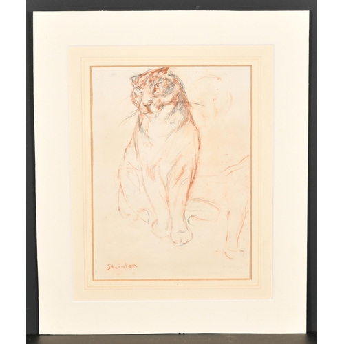 222 - Steinlen (19th-20th Century) European. Study of a Tiger, Pencil and Chalk, Signed, Mounted, unframed... 