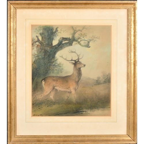 79 - Edward Robert Smythe (1810-1899) British. A Stag in a River Scene, Mixed media, Signed, 15.75