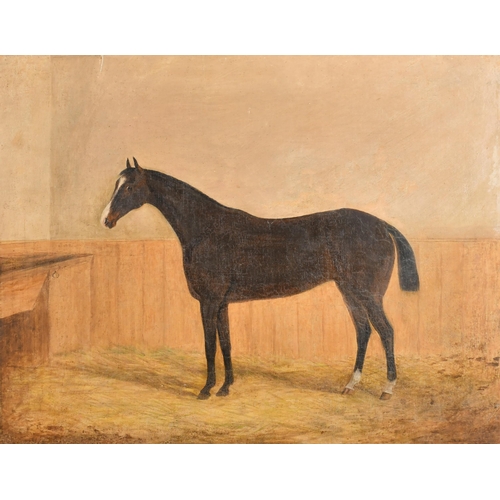 107 - 19th Century English School. A Horse in a Stable, Oil on canvas, 20