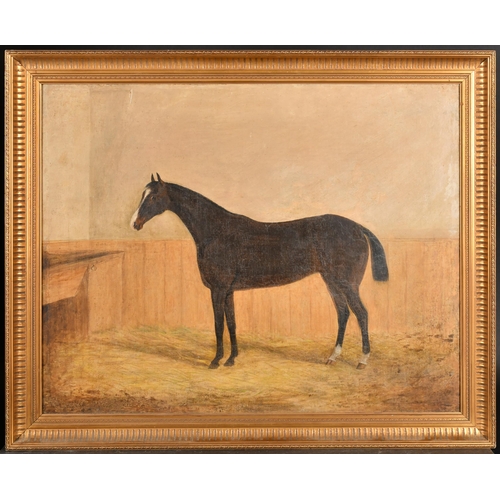 107 - 19th Century English School. A Horse in a Stable, Oil on canvas, 20