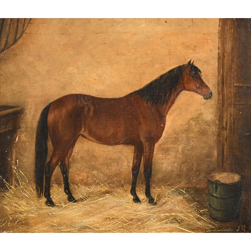 111 - J Quinton (19th Century) British. A Bay Hunter in a Stable, Oil on canvas, Signed with initials and ... 