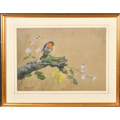 207 - Richard Britton (1931-    ) British. A Robin on a Branch, Watercolour and gouache, Signed, 12.5