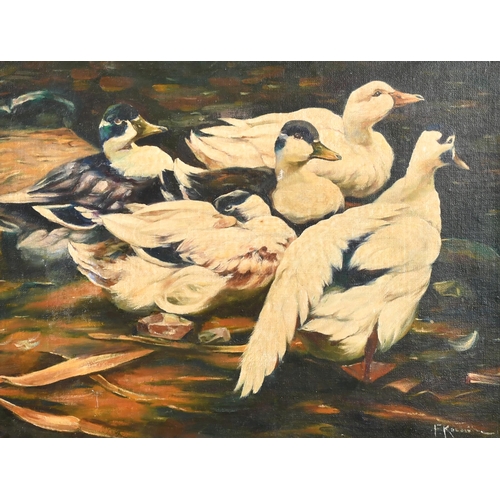 261 - 20th Century European School. Ducks by the Water's Edge, Oil on canvas, Indistinctly signed, 11.5