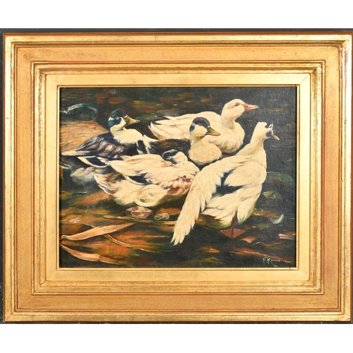 261 - 20th Century European School. Ducks by the Water's Edge, Oil on canvas, Indistinctly signed, 11.5