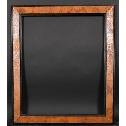 350 - 20th Century English School. A Bird's Eye Maple Frame, with black edging, rebate 30